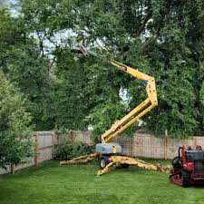 Leaf Removal in Camden, AL